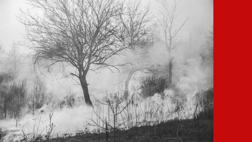 Informazione sulle catastrofi naturali